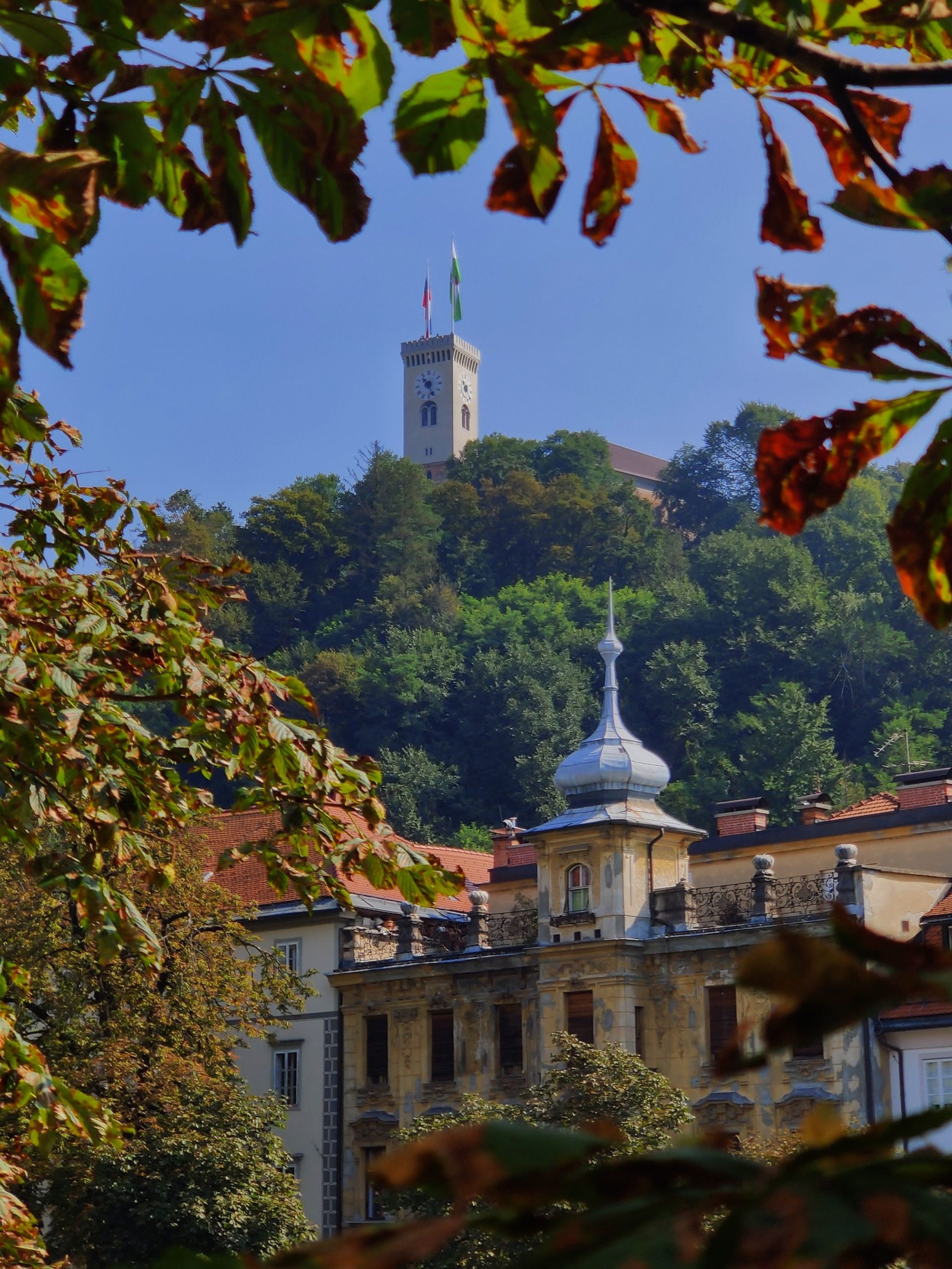 Ladjica na Ljubljanici jeseni